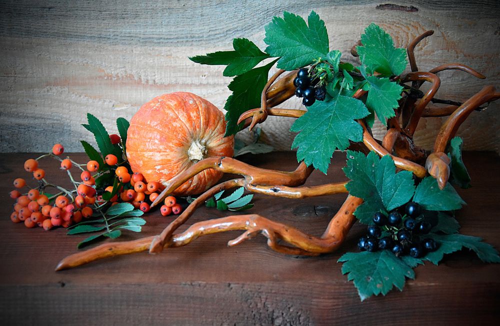 Натюрморт с тыквой