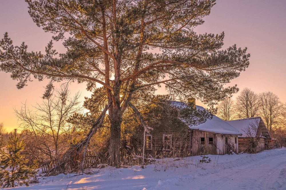 Старый дом.