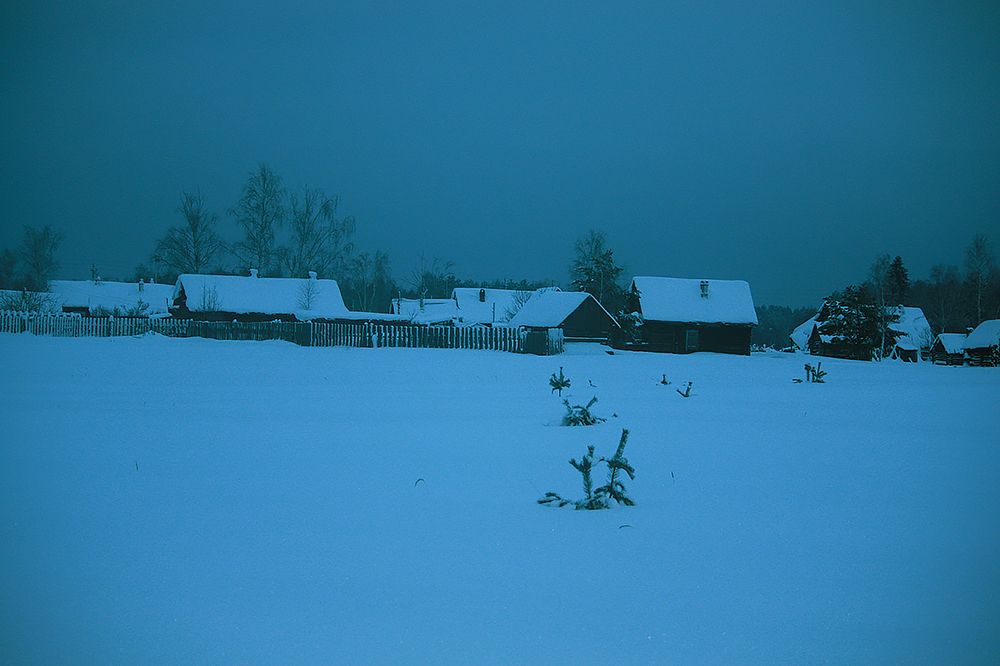 Photograph by Мария Сычёва