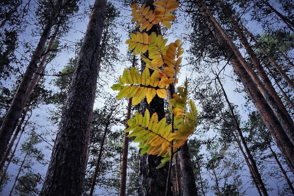 Photograph by Алия Байсыкова