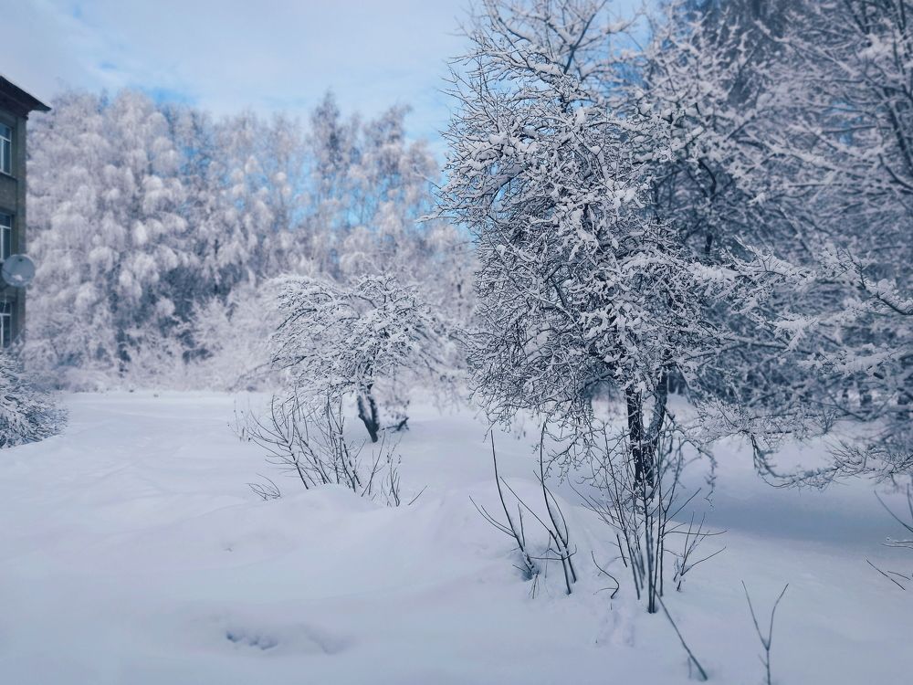 Photograph by Лушникова Юлия