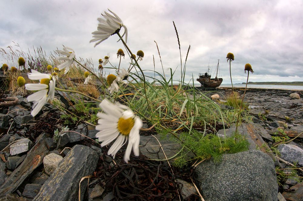 ветер с моря дул