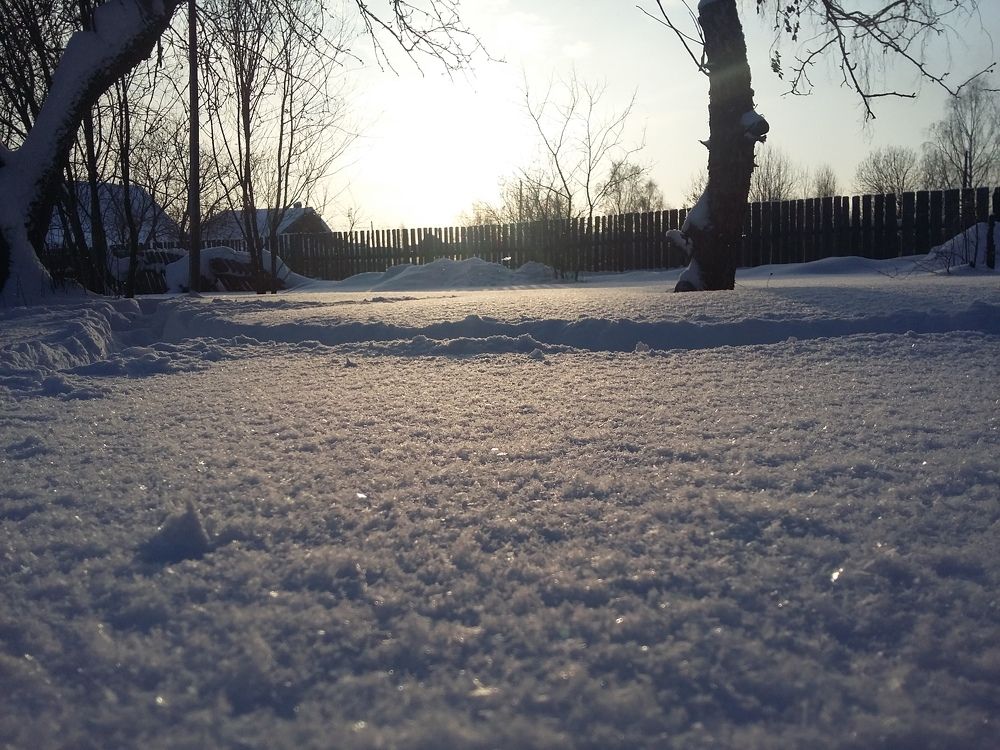 Photo #2950773