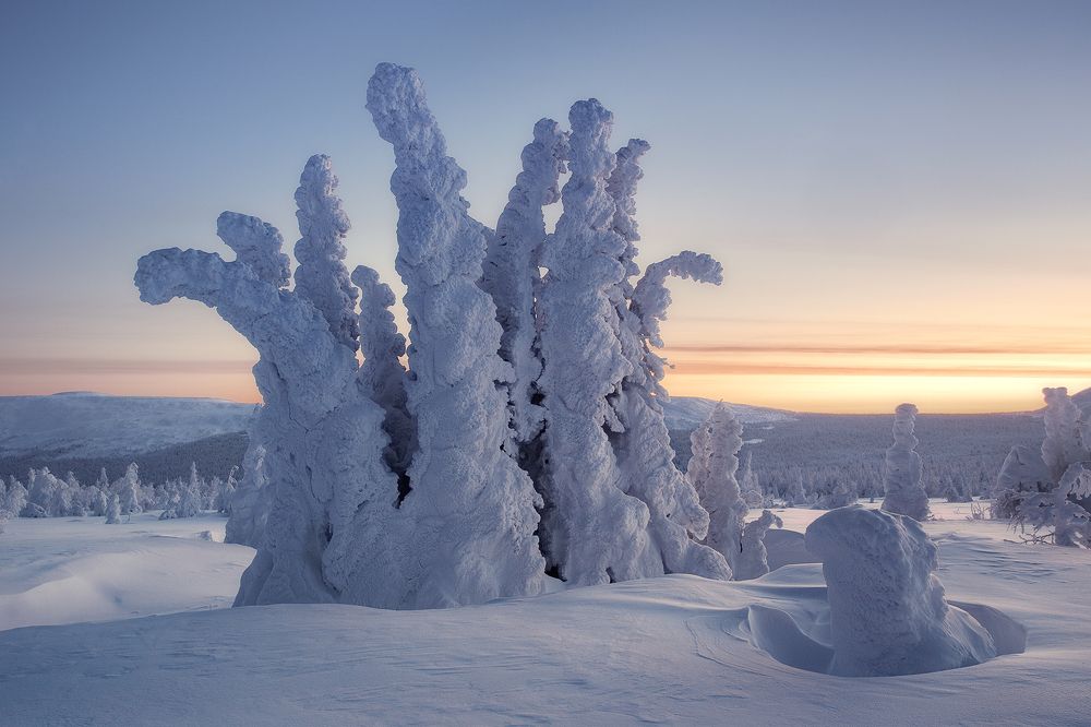 Снежная корона