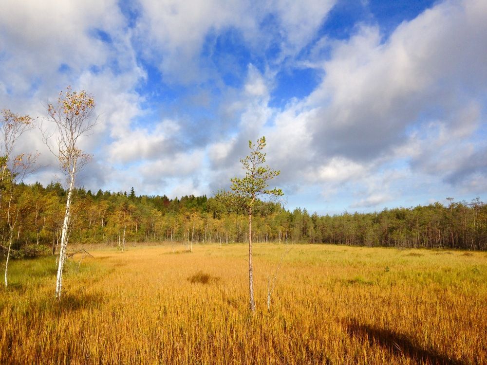 Photograph by Александр Филипенко