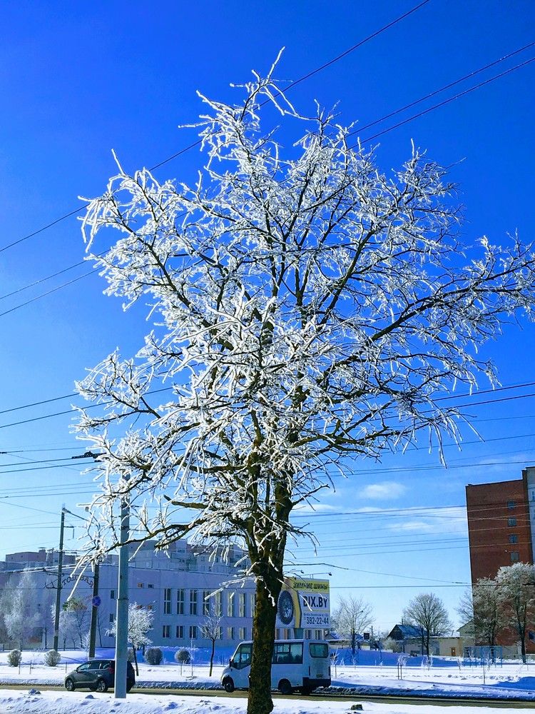 Photograph by Виктория Жуковская