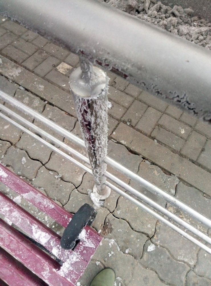 Photograph by Виктория Жуковская