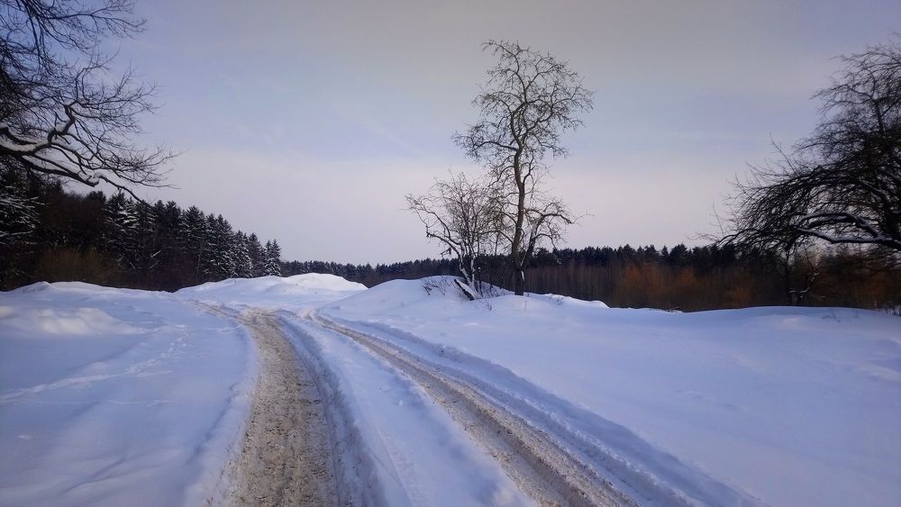 Winter Minsk Medvejino