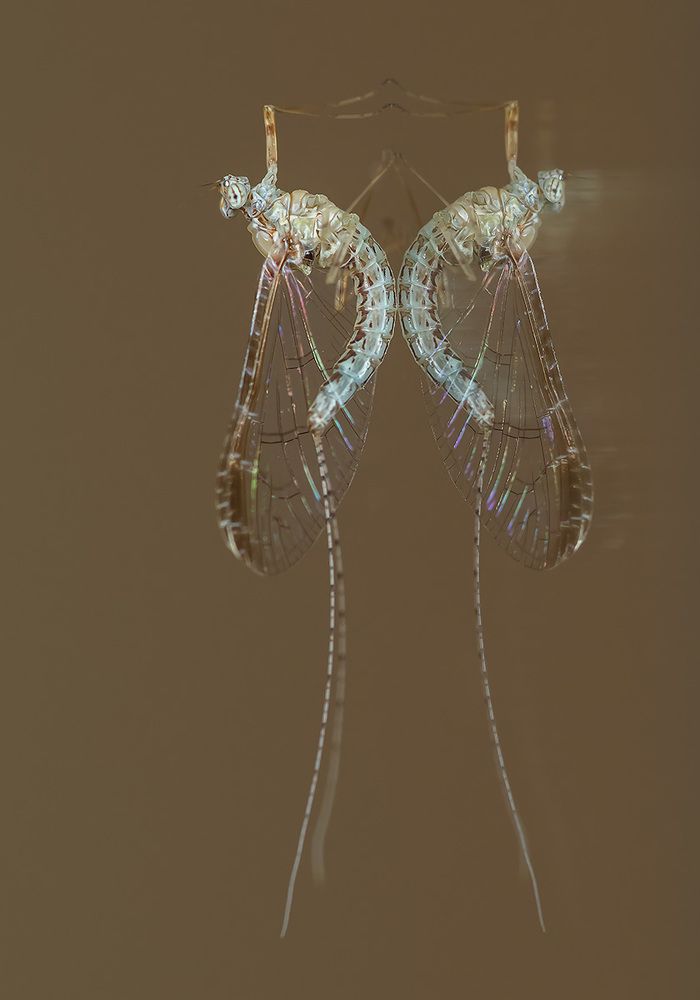 В зеркальном отражении ...