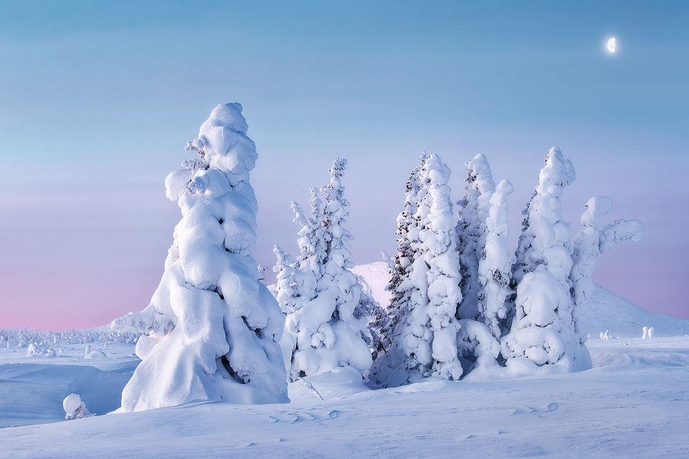 Родом из детства