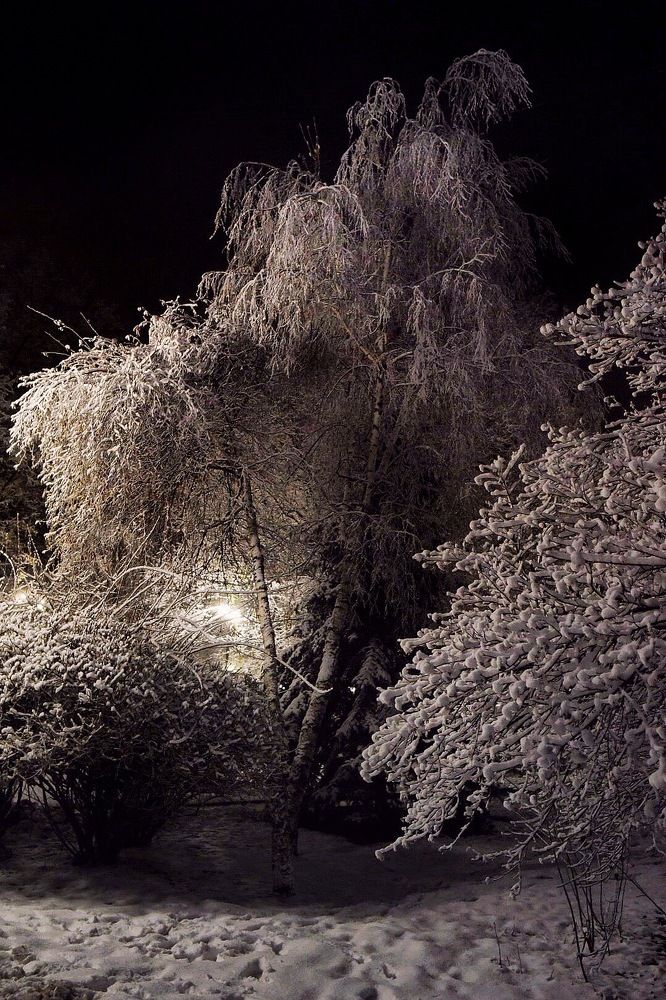 Photograph by Виктория Коршун