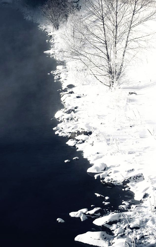 Природное черно-белое