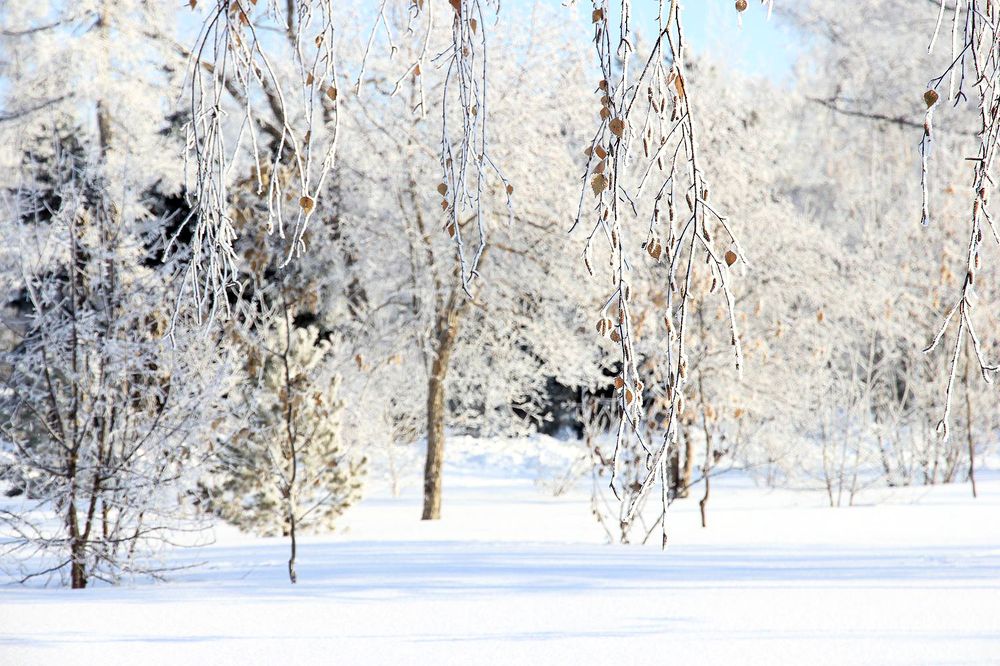 Зимний город