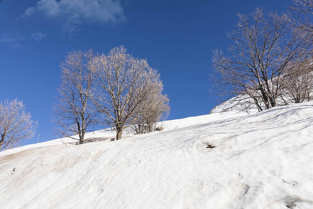 Зима пришла