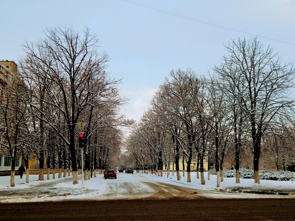 Photograph by Алена