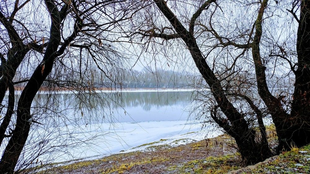 Photograph by Алена