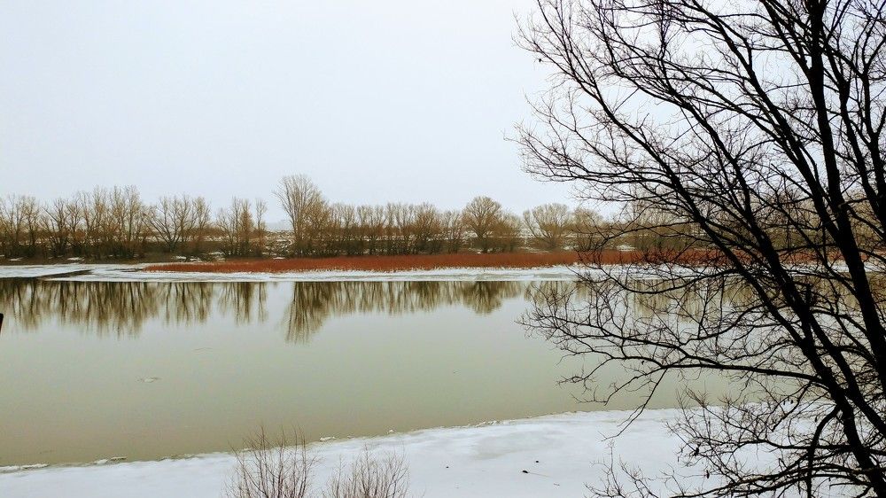 Photograph by Алена