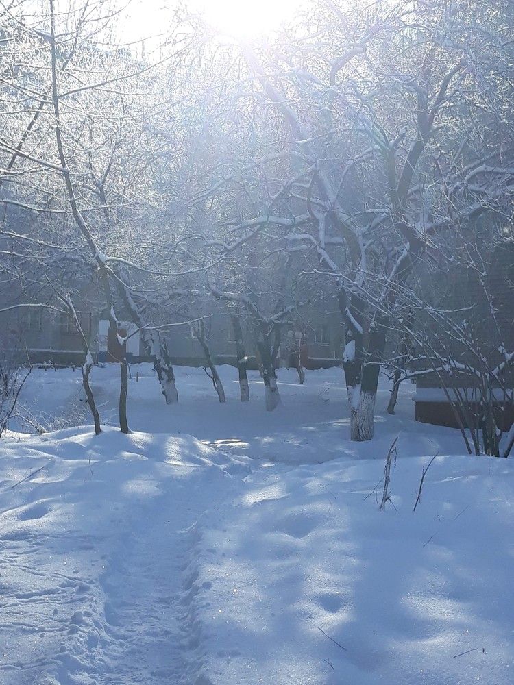 Зимние утро