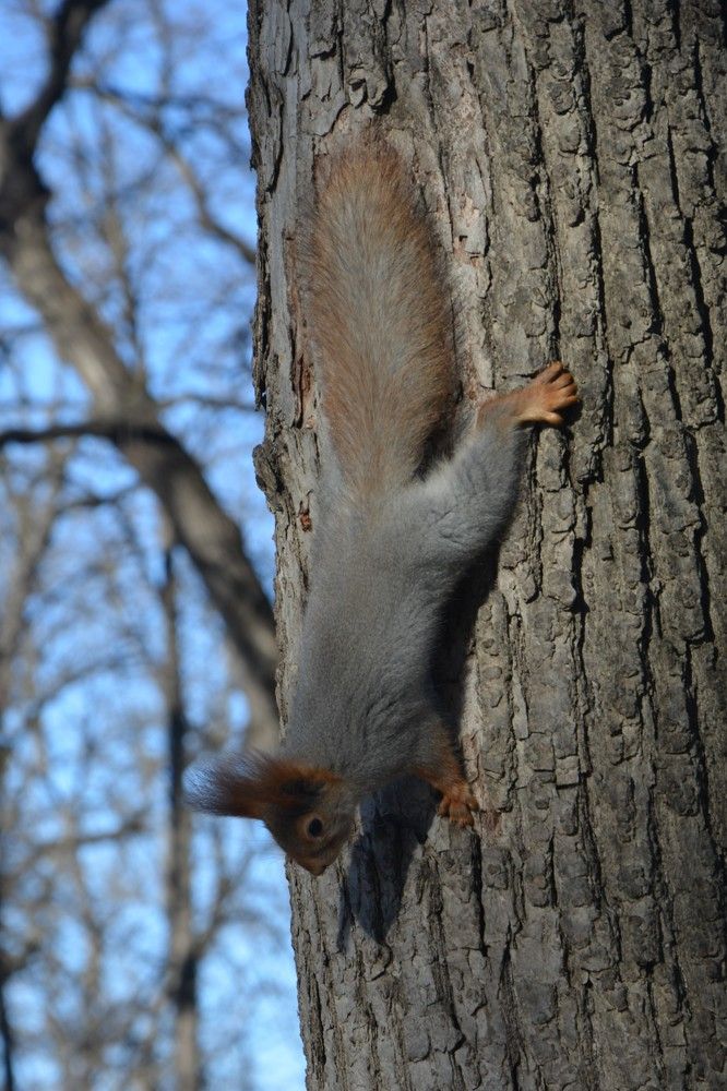 Photograph by Анатолий Зеленский