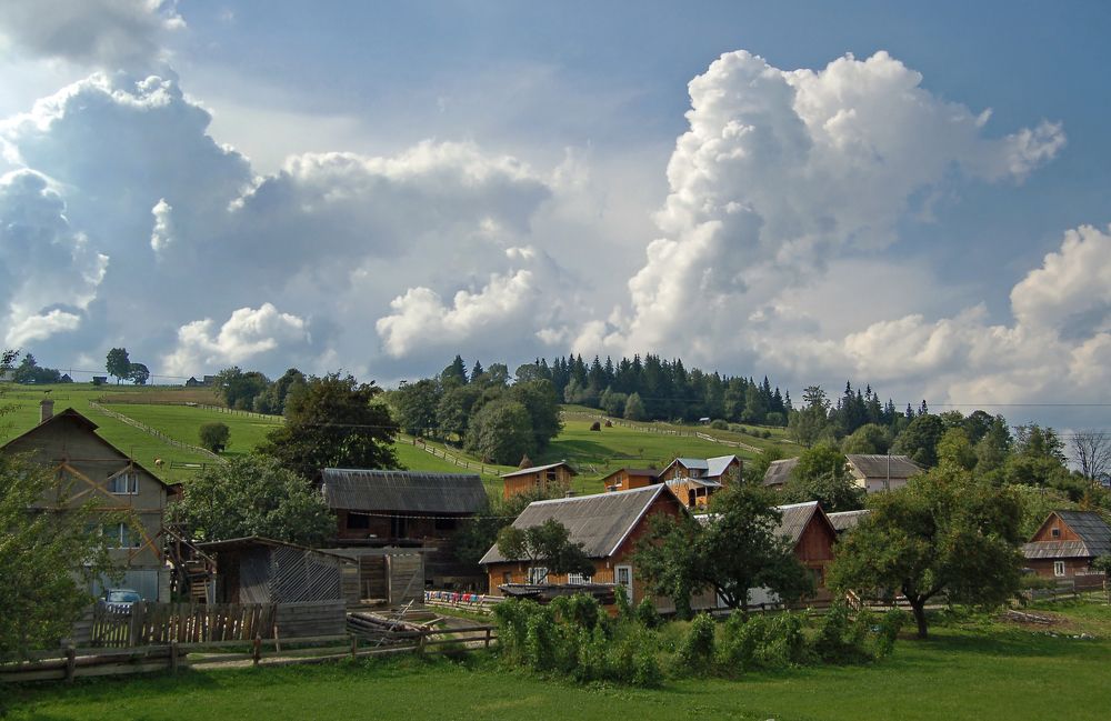 Карпатский краевид