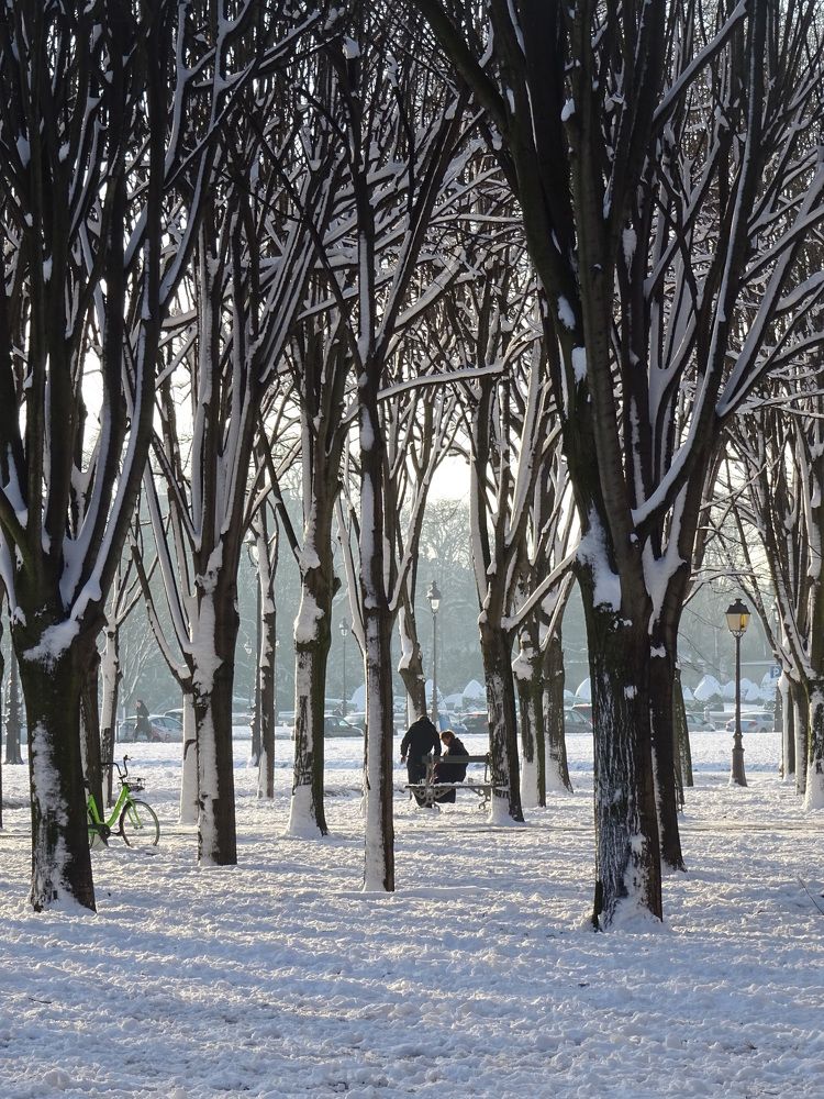 Paris - Breakfast in the snow