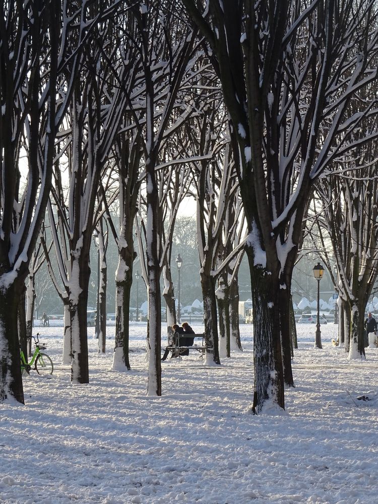 Paris - Breakfast in the snow II