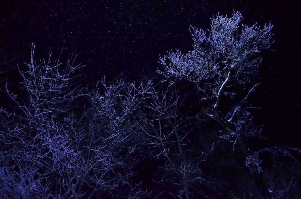 We need a roof, the winter doesn't