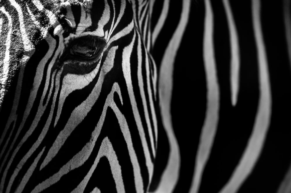 Photograph by Александра Липкина