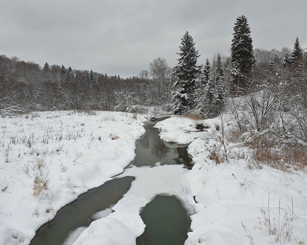 Красота снежной зимы