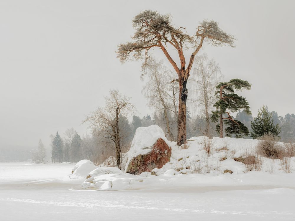 Парк Монрепо. Выборг