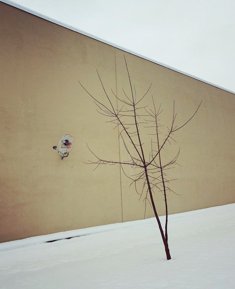 Зимний минимализм.