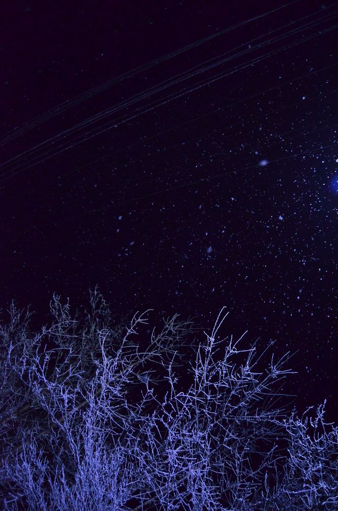 We need a roof, the winter doesn't