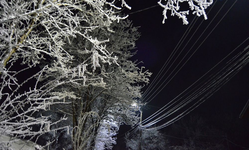 We need a roof, the winter doesn't