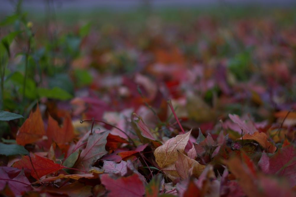 Photograph by Анатолий Орлов