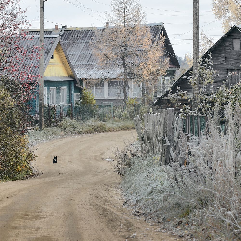 Холодно, пасмурно, но до зимы ещё далеко. / It's cold, overcast, but the winter is not here yet.