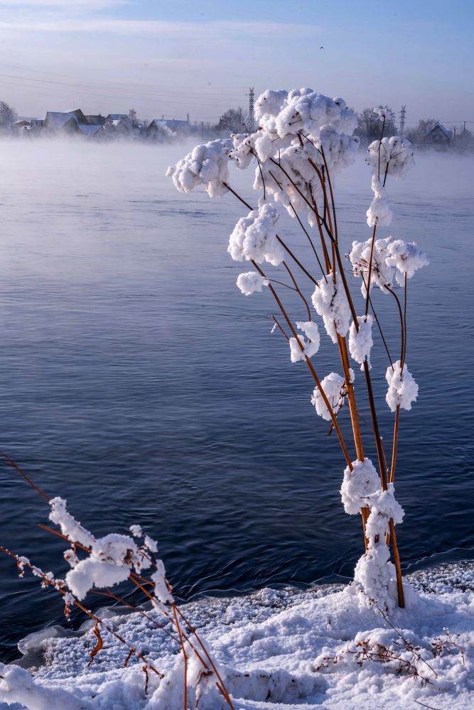 Photograph by Наталья Попова