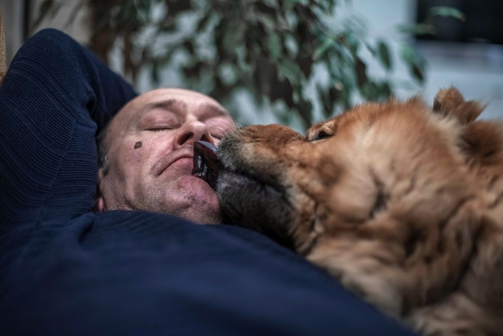 Photograph by Наталья Попова