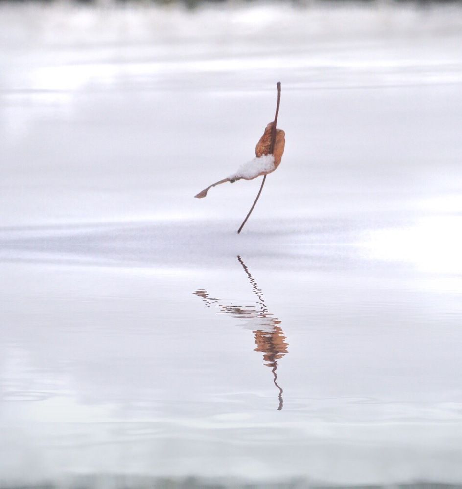 Снежные зарисовки