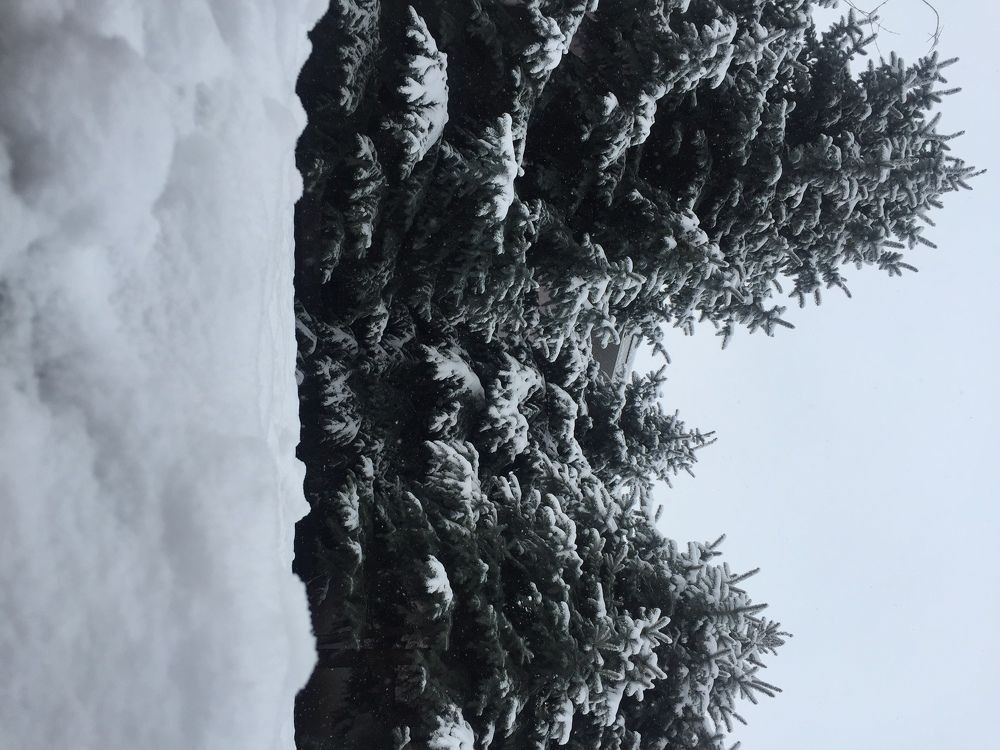 Зимний Двор