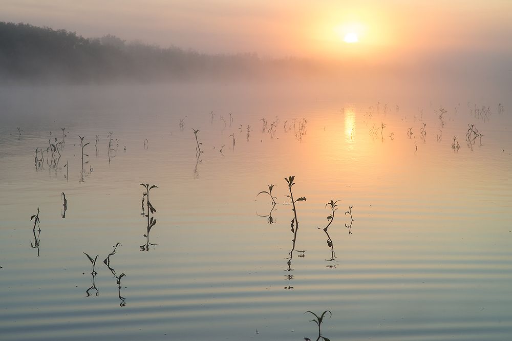 Алый свет зари.