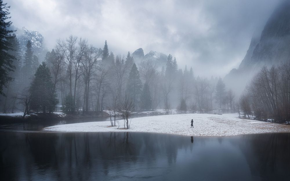Foggy Winter in Yosemite