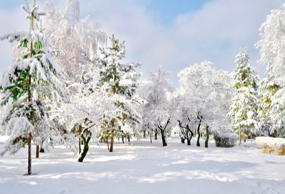 Photograph by Искандар Газизов