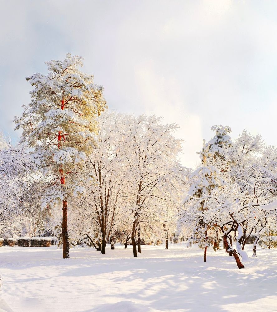 Photograph by Искандар Газизов