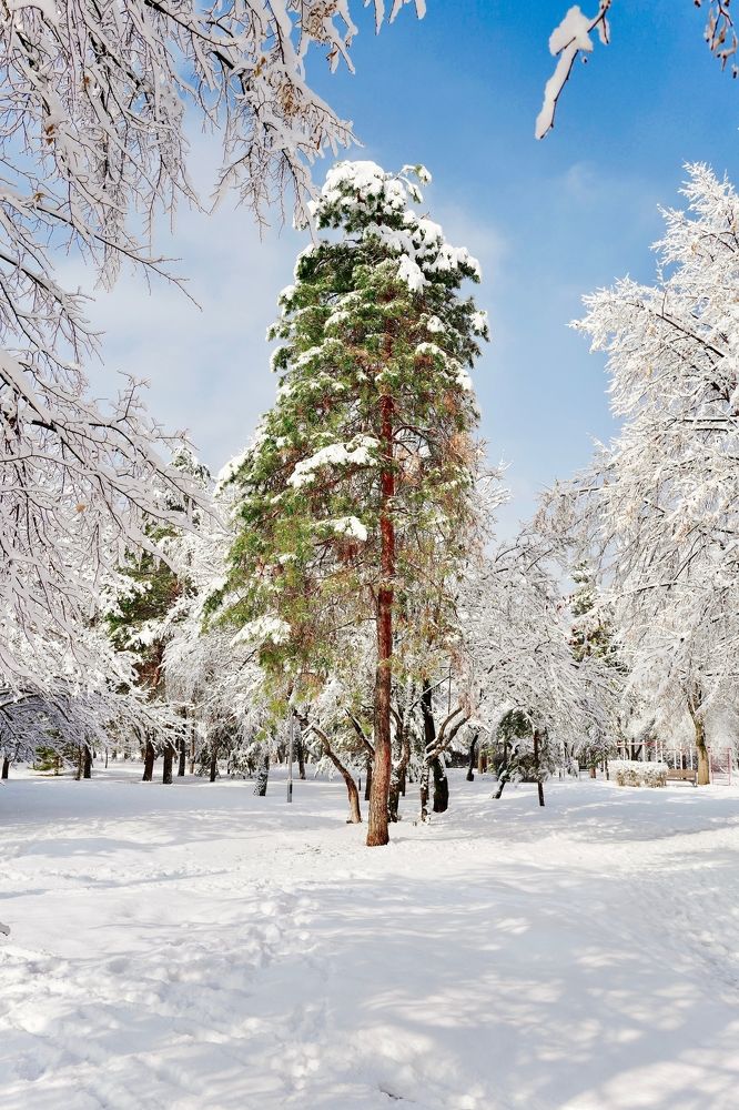 Photograph by Искандар Газизов