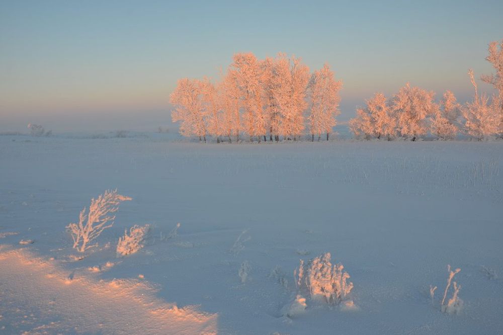 Морозное утро