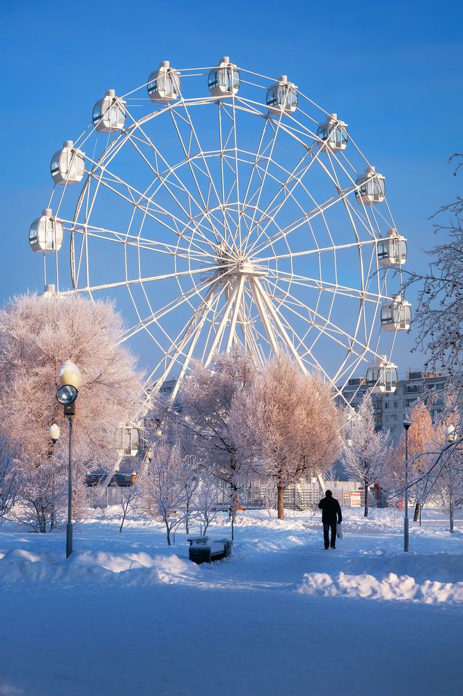 Зимнее настроение в любимом парке