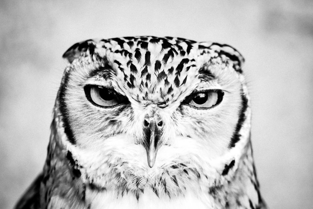 Do you have to take it now?!