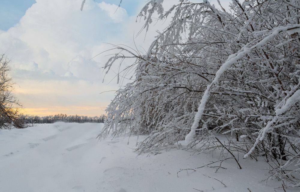 Утренний иней