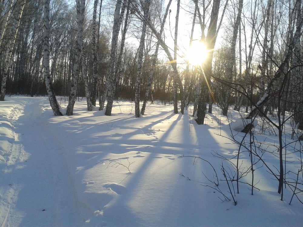 Photo #2952128