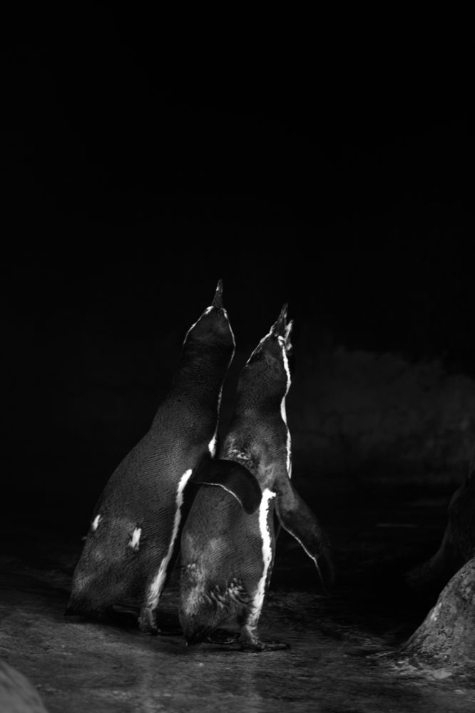 Photograph by Александра Липкина